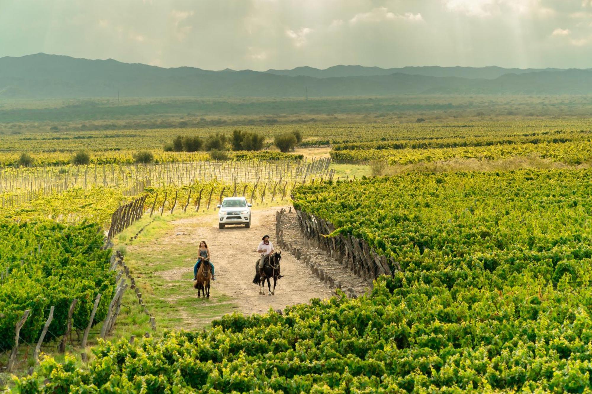 Rosell Boher Winery Lodge & Spa Agrelo Buitenkant foto
