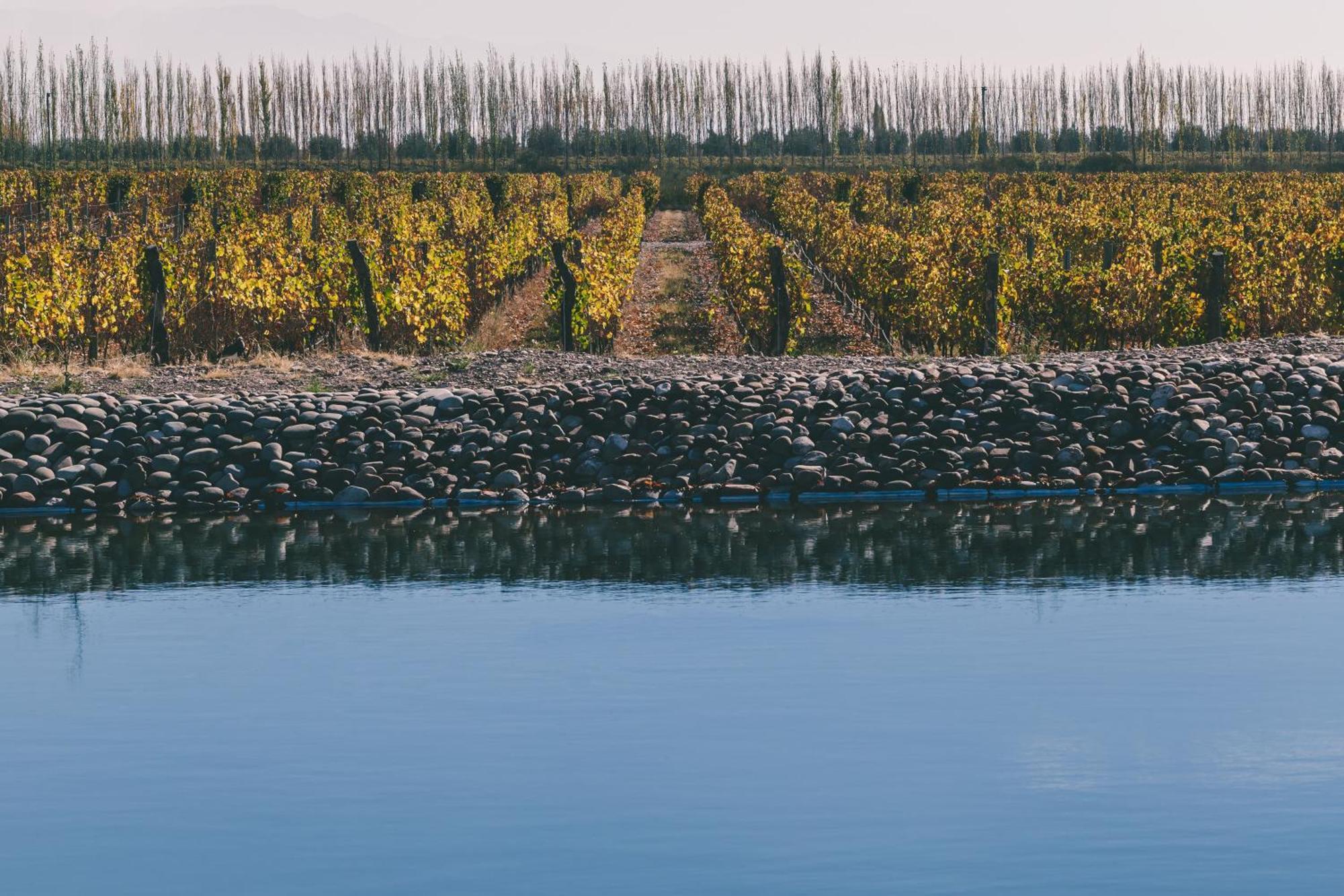 Rosell Boher Winery Lodge & Spa Agrelo Buitenkant foto