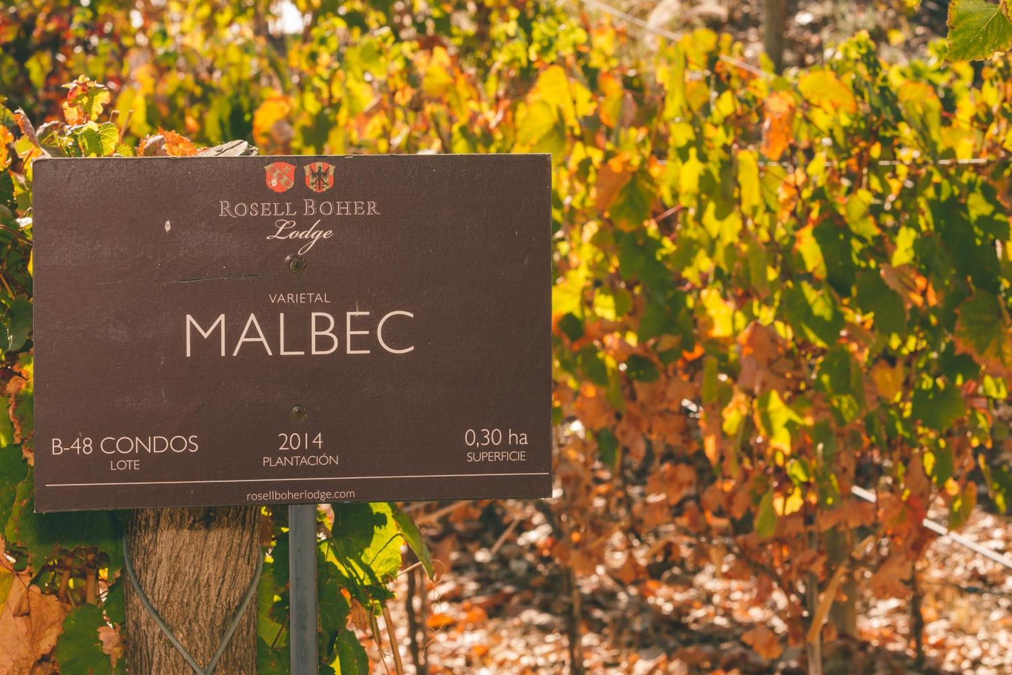 Rosell Boher Winery Lodge & Spa Agrelo Buitenkant foto