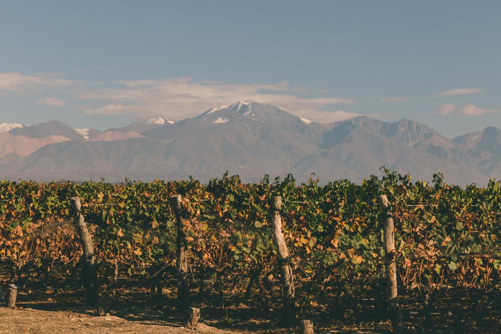 Rosell Boher Winery Lodge & Spa Agrelo Buitenkant foto