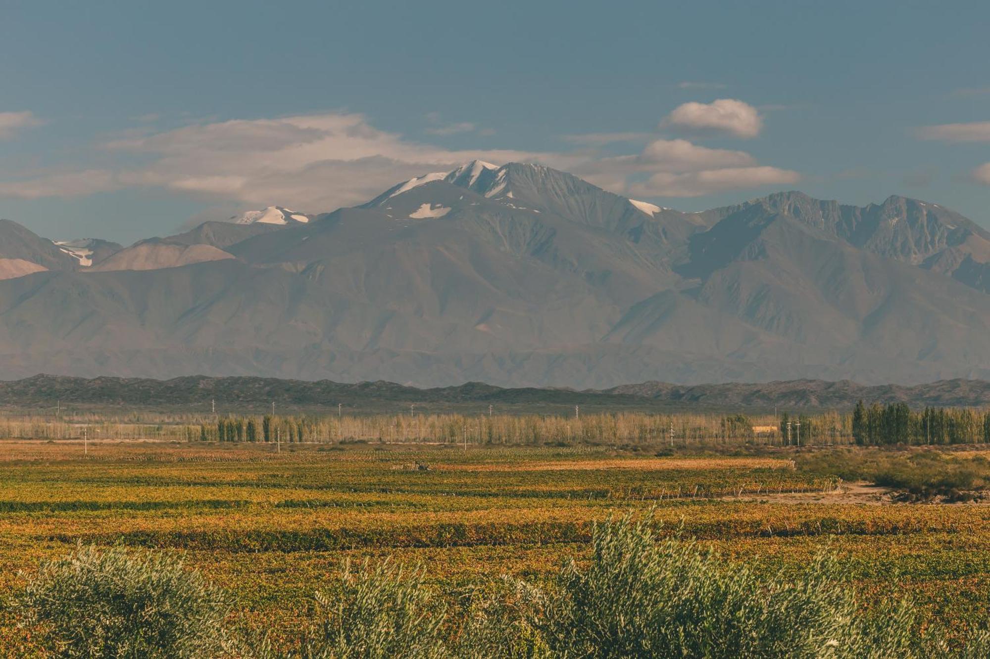 Rosell Boher Winery Lodge & Spa Agrelo Buitenkant foto